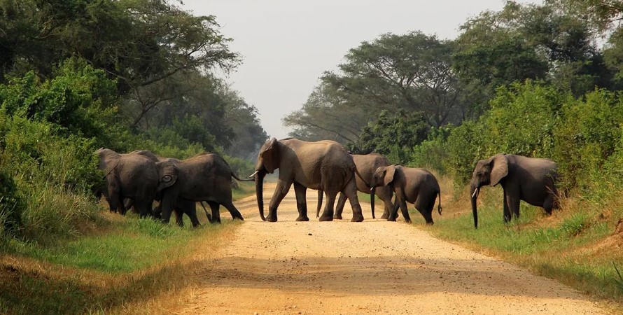 Africa Adventure Vacations gallery